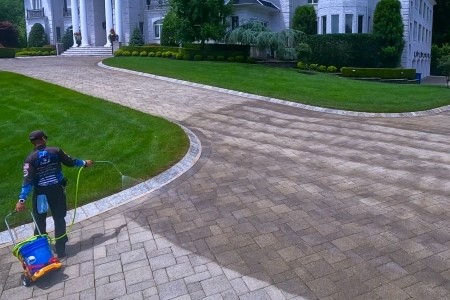 Paver sealing